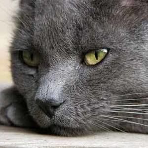 Meet your Posher, Anne